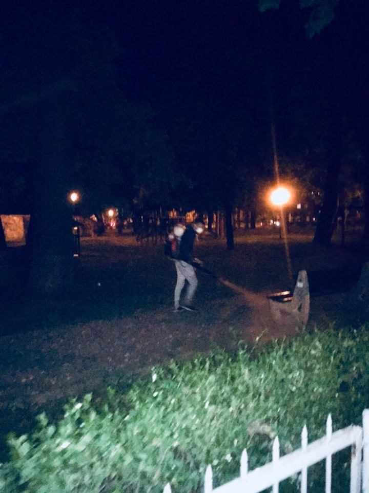 dezinsectie