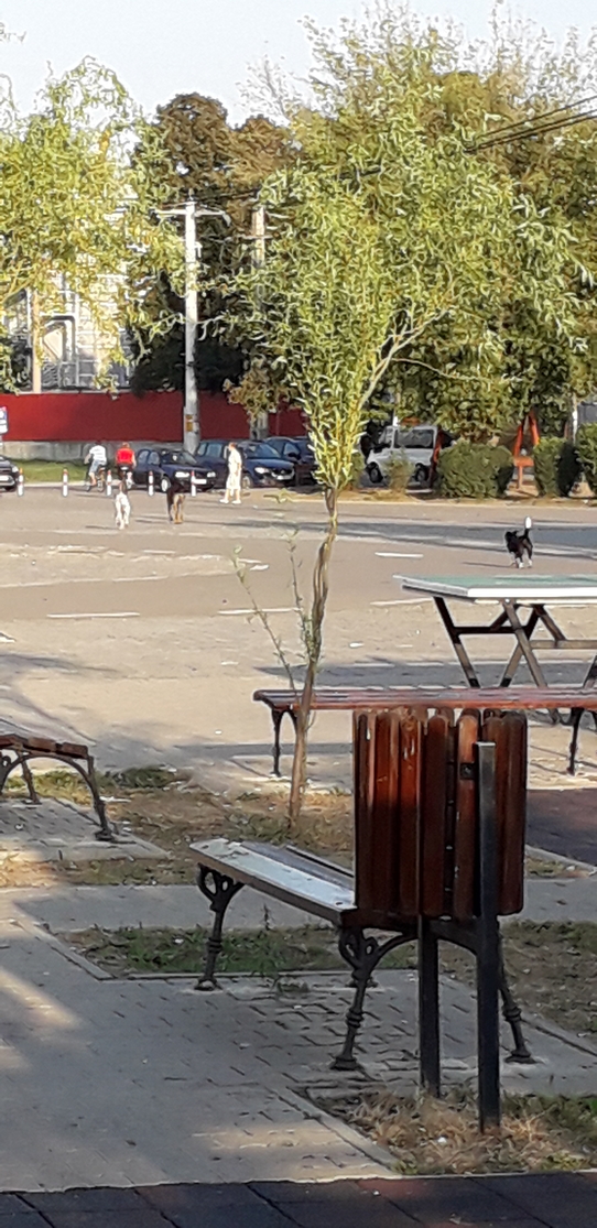 Webp.net-resizeimage (3)