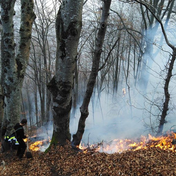 45595803_557004121392729_7051762835998638080_n