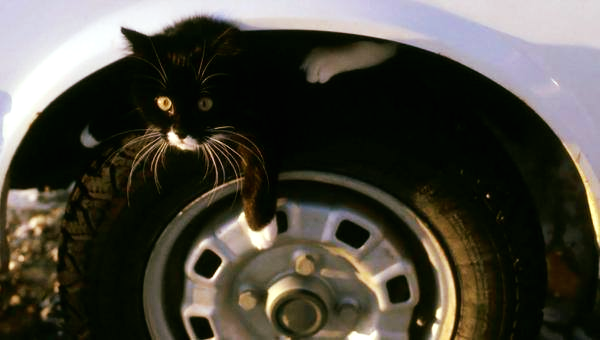 50636615_1964271863684038_5383246768253173760_n