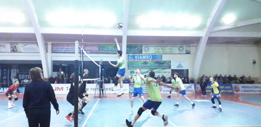 Au fost prada usoara pentru caini