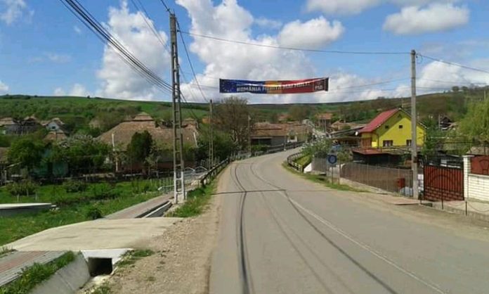 bannere-psd-triteni