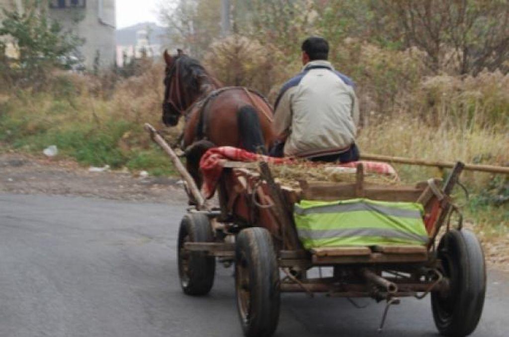 Accident rutier la Viișoara – un căruțaș a fost rănit