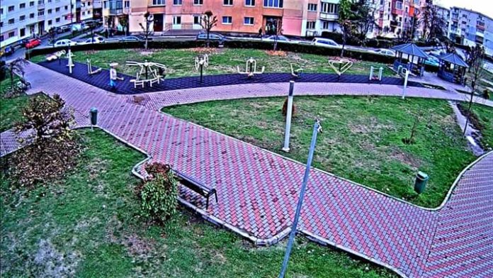 FB_IMG_1573834606568