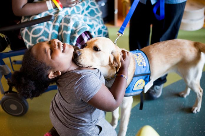 UCSF_20161116_KimonoDog_010a