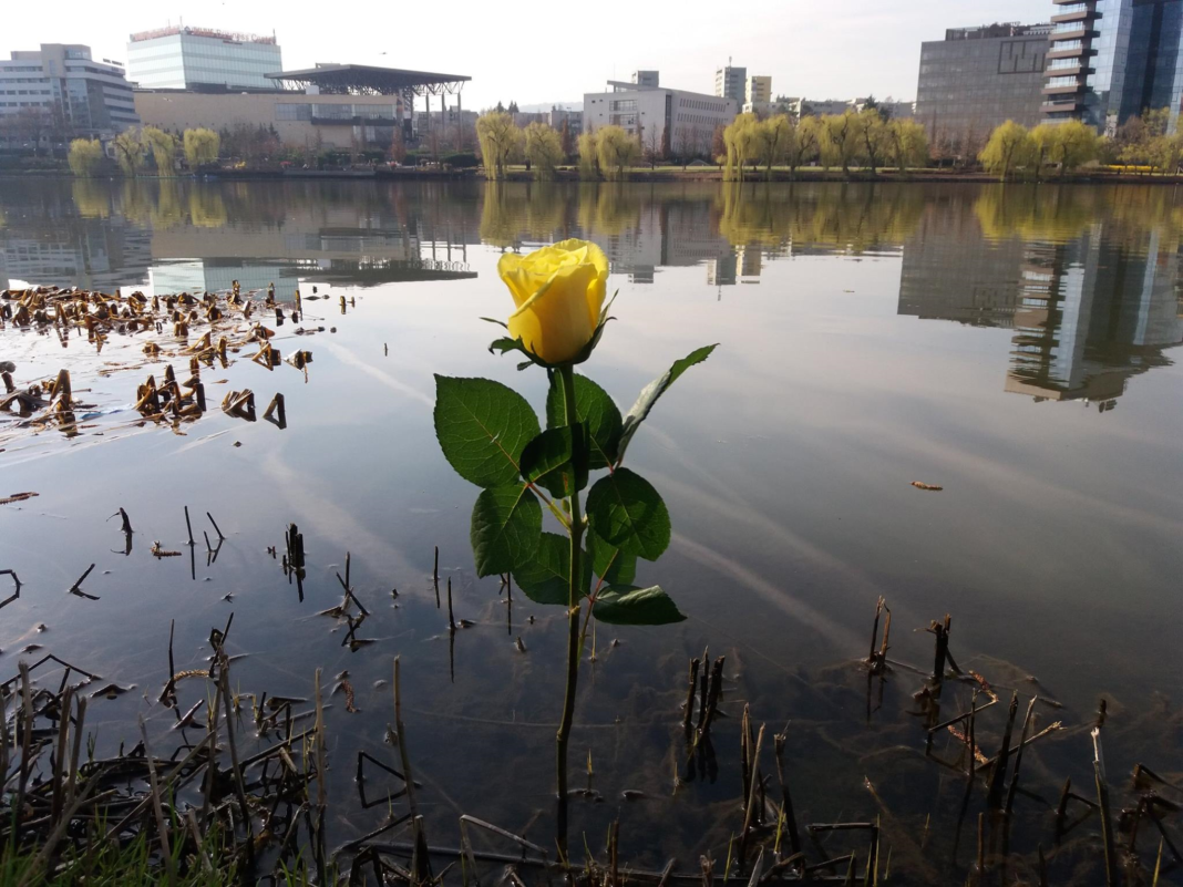 “CUPA MĂRȚISOR” la pescuit