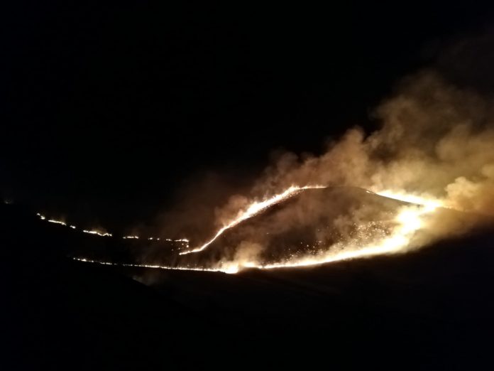 WhatsApp Image 2020-03-20 at 00.08.49