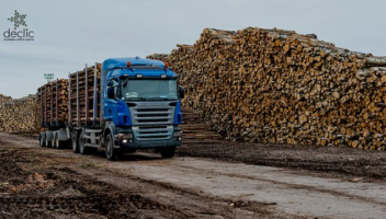 Peste 20.000 de semnături de susținere a legii inițiate de USR împotriva tăierilor ilegale de păduri