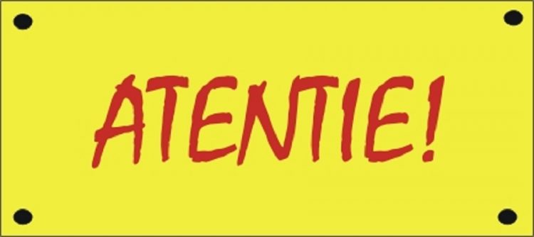 ATENȚIE! Ursul reperat pe străzile Municipiului Câmpia Turzii NU A FOST CAPTURAT! Fiți vigilenți!