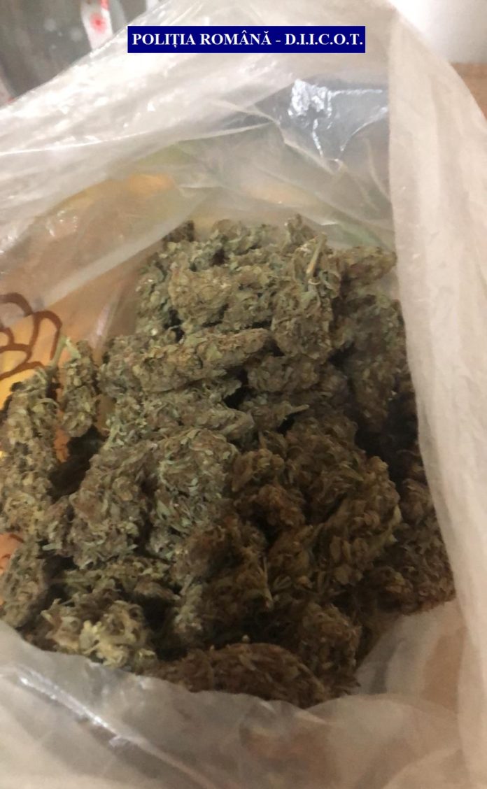 SATU MARE DROGURI (3)