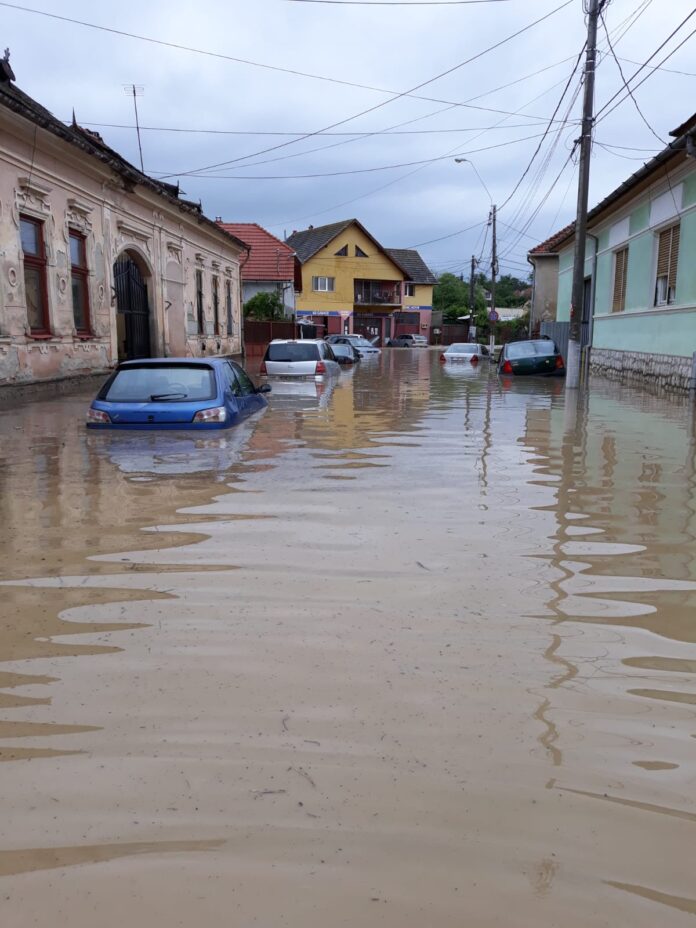 WhatsApp Image 2020-06-23 at 08.38.37