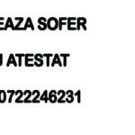 anunt daghemana