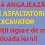 machetă-cipri-3