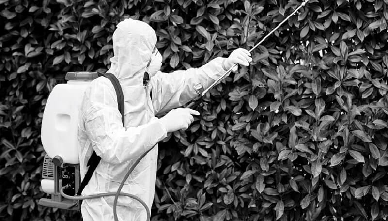 activitate de deratizare