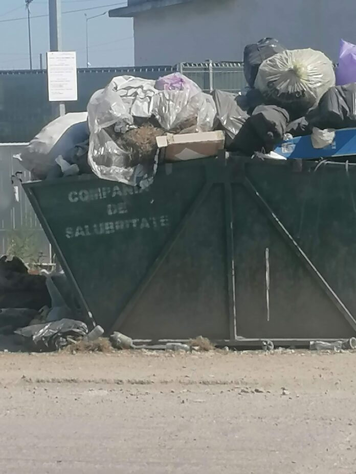 received_365690501124515