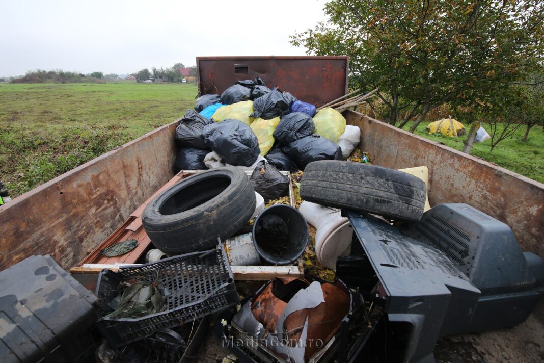 Curățenie generală în zona Castrului Roman