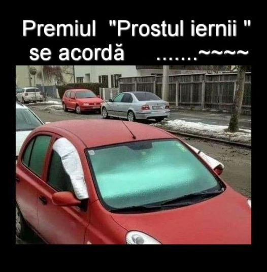prostul-iernii