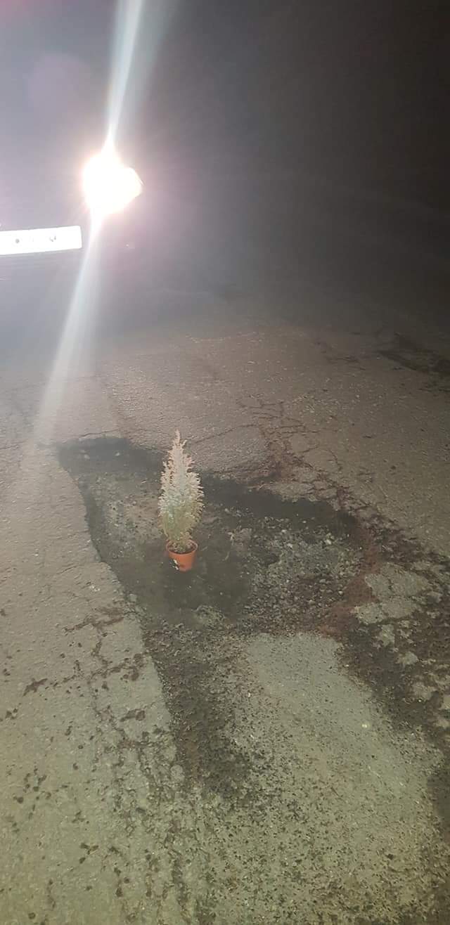 FB_IMG_1616386968625