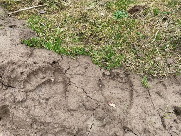 NGQ1MzEzZmY4NDFmMTBiNzZlZDQ3ZmNjNTQ=