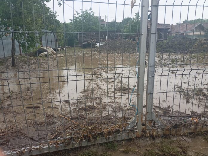 WhatsApp Image 2021-07-03 at 12.35.40 (4)