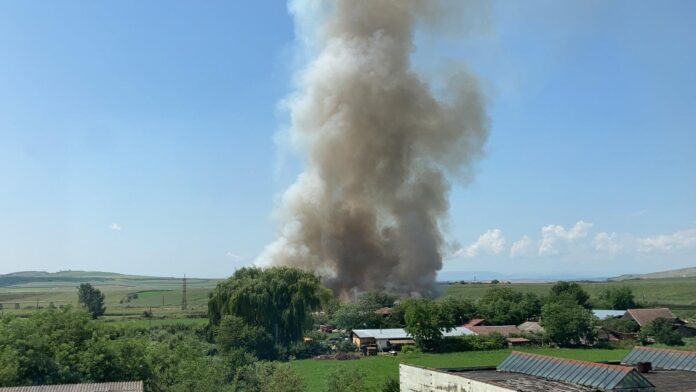 WhatsApp Image 2021-07-30 at 13.49.55