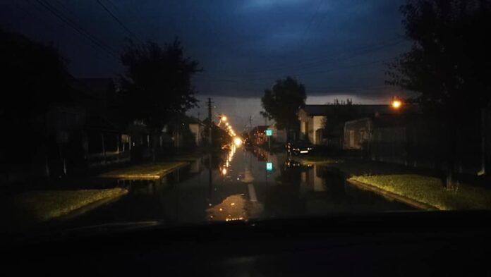 239224363_10165457761235118_5940470649216829361_n