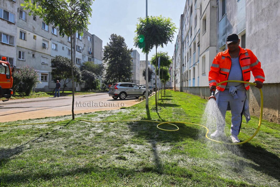Primăria Turda: Modernizăm spațiile verzi din curtea interioară de pe strada Calea Victoriei 118
