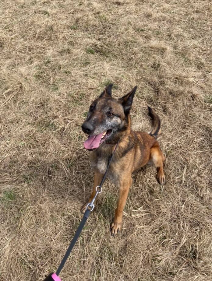 271440531_4695151627246059_4697382272273802992_n