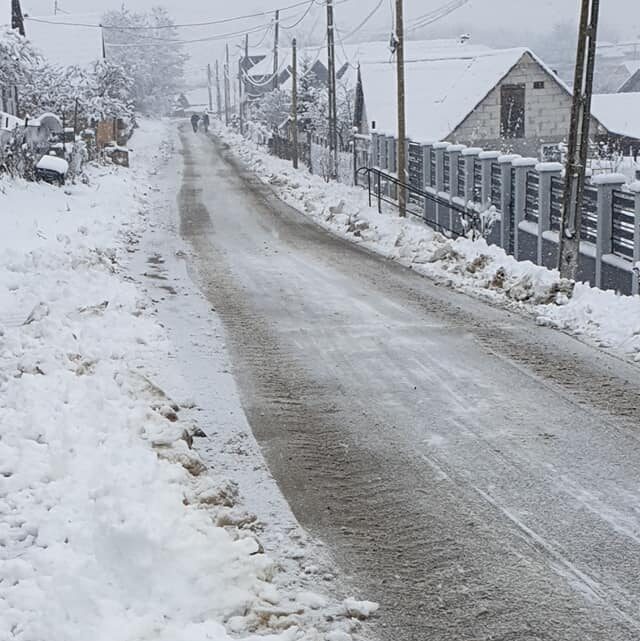 acuzații-liliana-moldovan