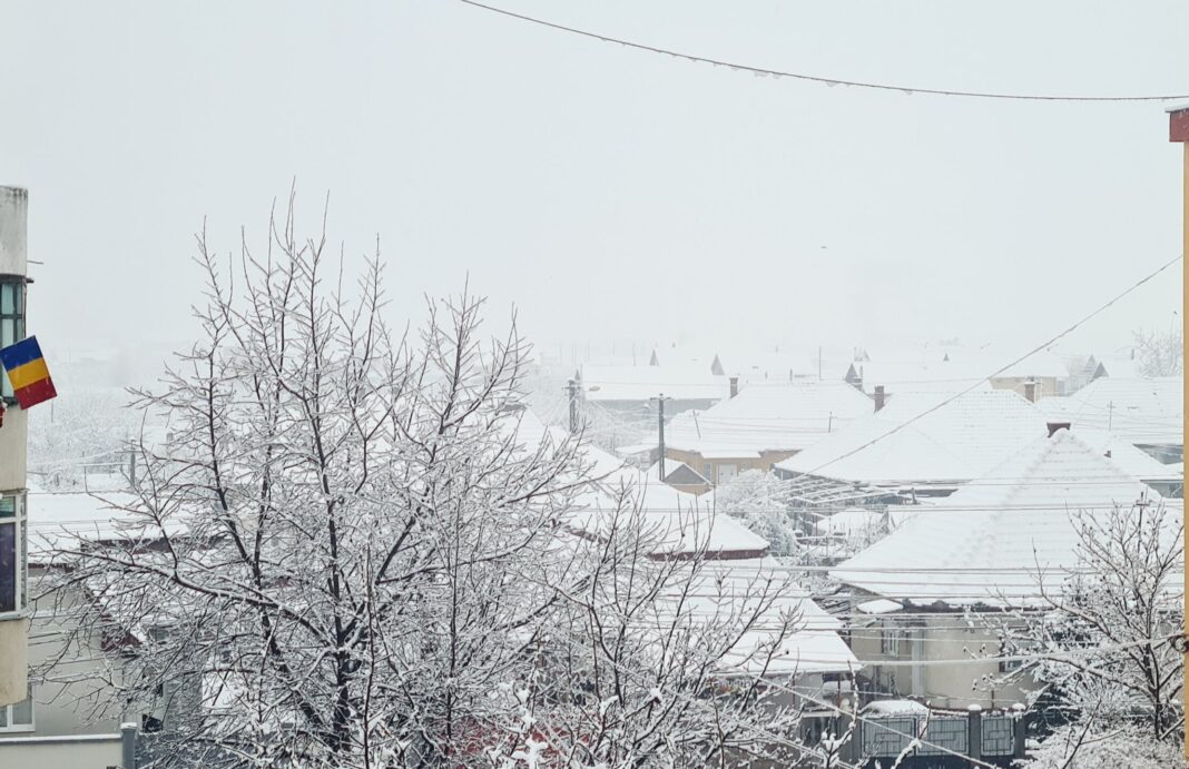 Nebun de alb – afarฤ continuฤ sฤ ningฤ, iar peisajul este feeric