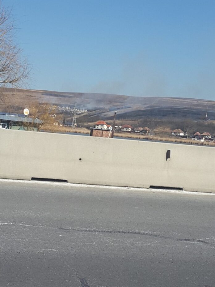 WhatsApp Image 2022-03-14 at 14.08.02