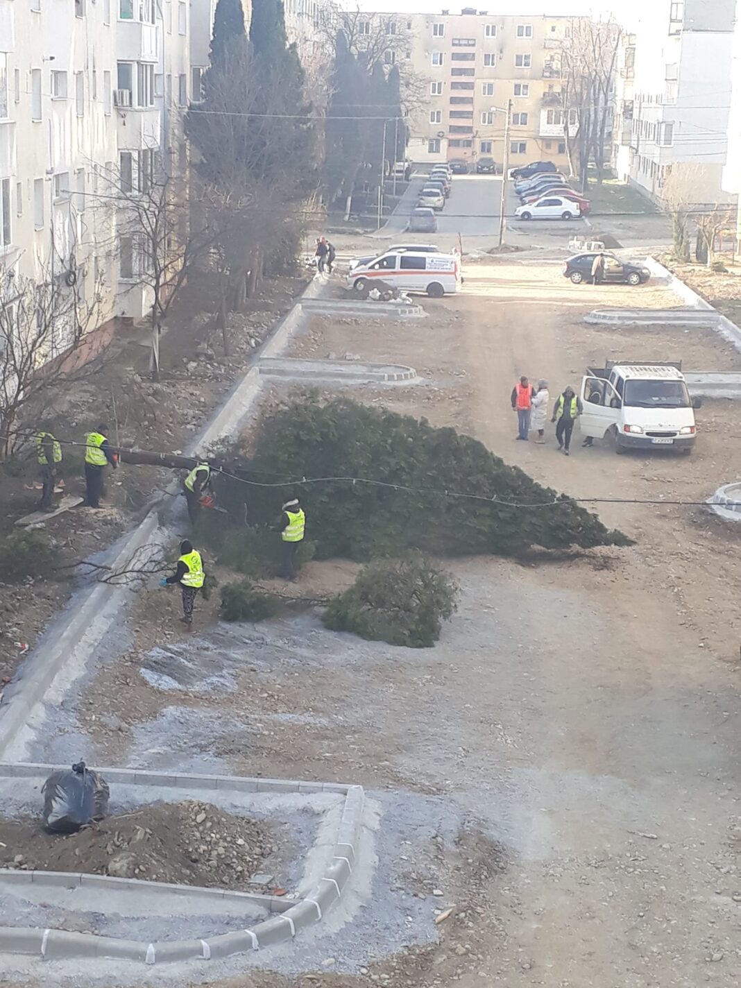 Știrea cititorului: Genocid ecologic la Turda