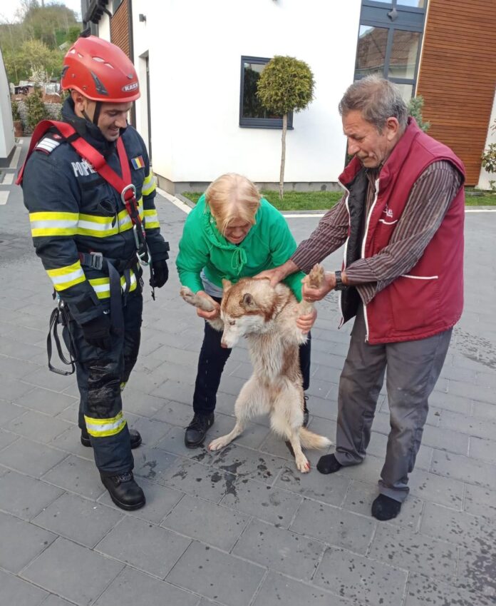 WhatsApp Image 2022-04-25 at 19.37.09