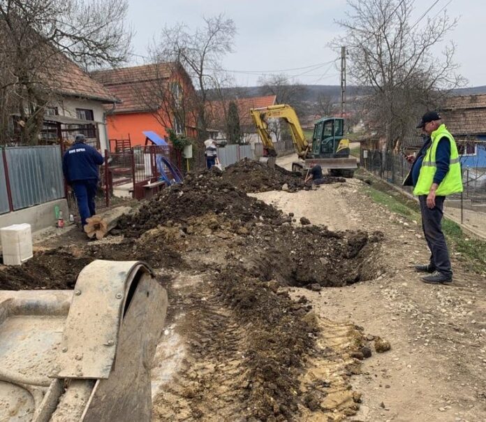 lucrări-poim-triteni