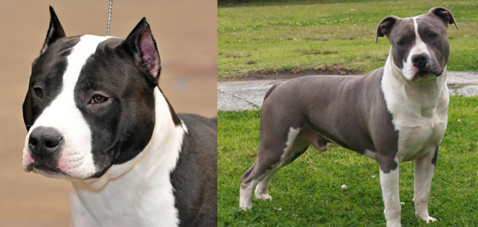 704365_fe9dc24566794288aaeba99f41936202_mv2