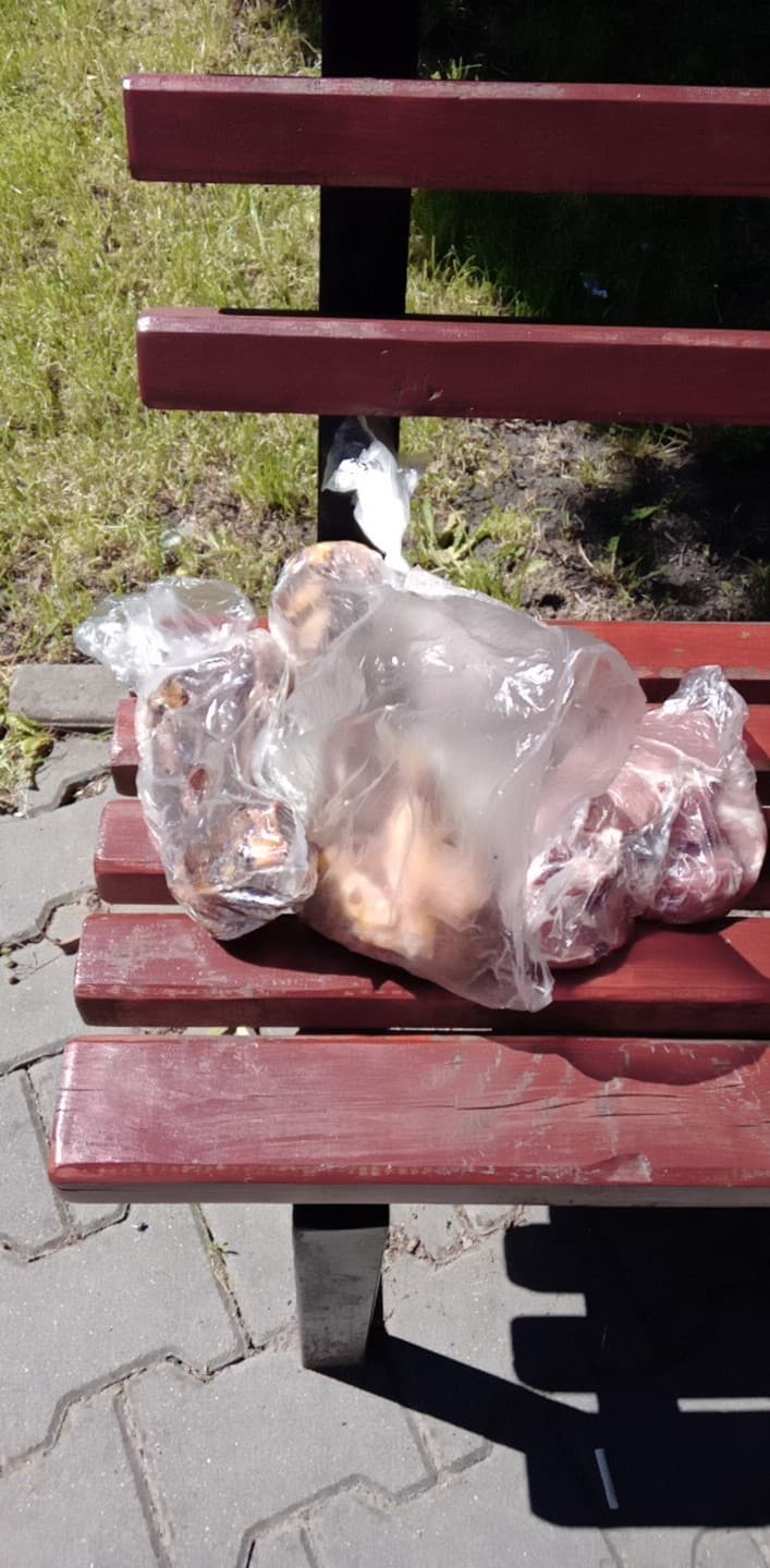 Știrea cititorului: Hrănim câinii vagabonzi cu pungi de carne lăsate în Berc?