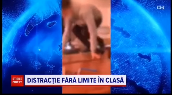 dezmăț-valea-largă