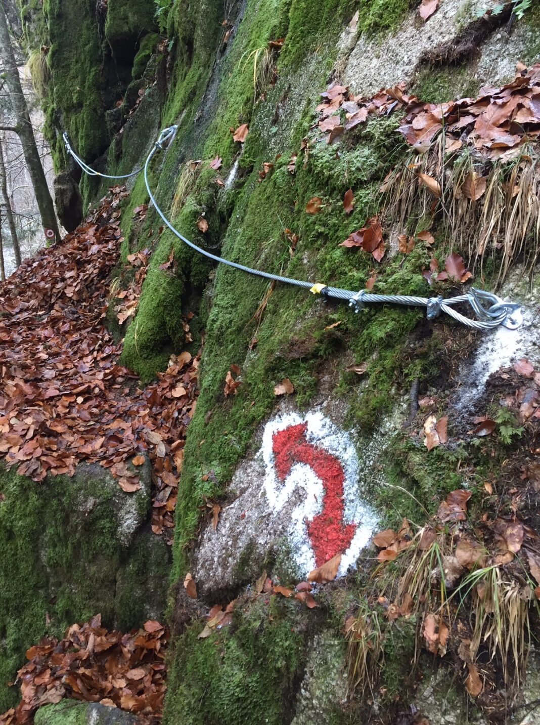 16 noi trasee turistice montane omologate în județul Cluj 16 noi trasee turistice montane omologate în județul Cluj