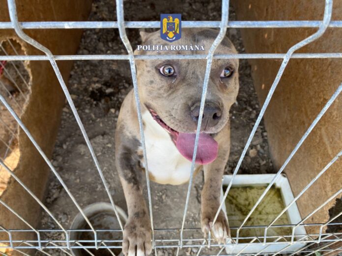 292234342_345338421102439_3864483296625733023_n