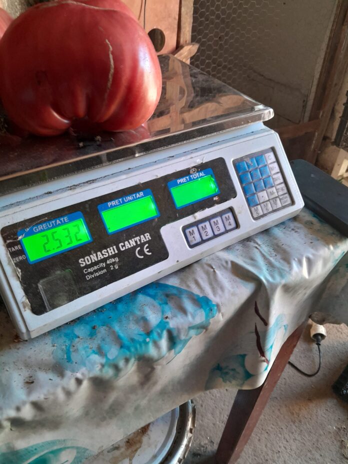 295255457_725292028763765_5810036217509369102_n