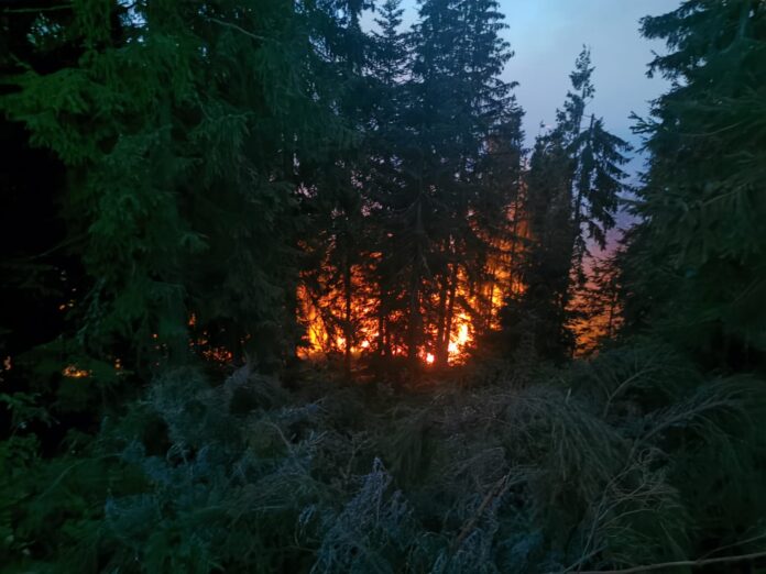 WhatsApp Image 2022-07-25 at 22.22.05