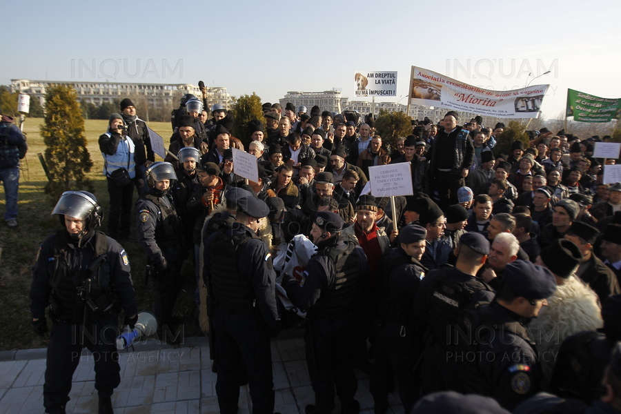 Protestul Moților, de la Turda, considerat de RISC ZERO pentru Jandarmeria Cluj