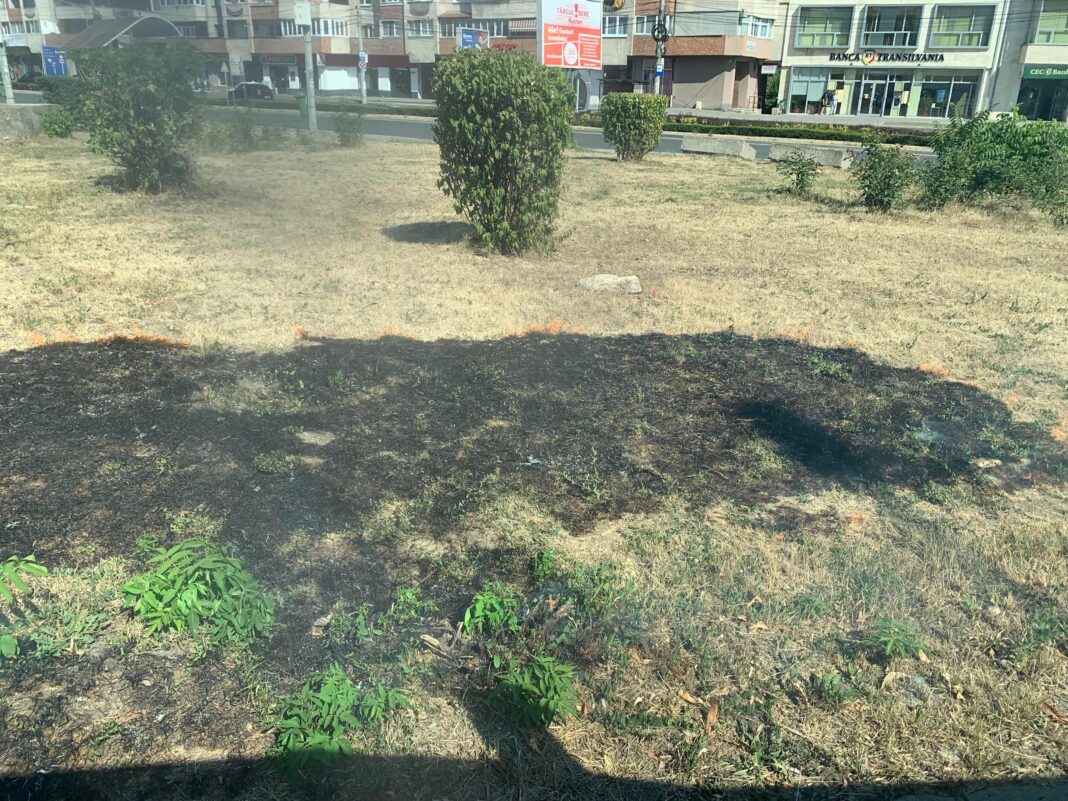 Incendiu de vegetație în fața Poliției Turda