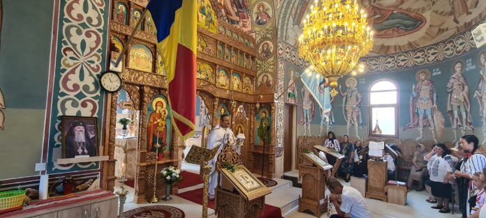 viorel-vasile-feșnic