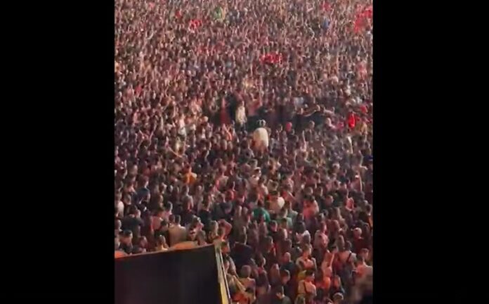 1_3_236125_1659866952_00787_fav