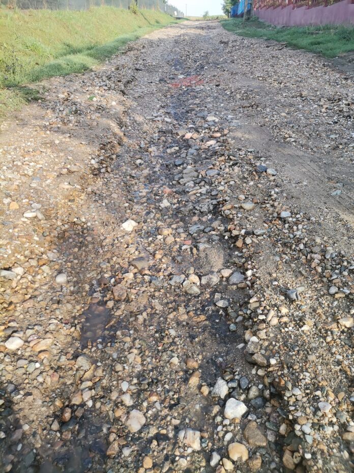 300965024_572593204611450_5433974928409769592_n