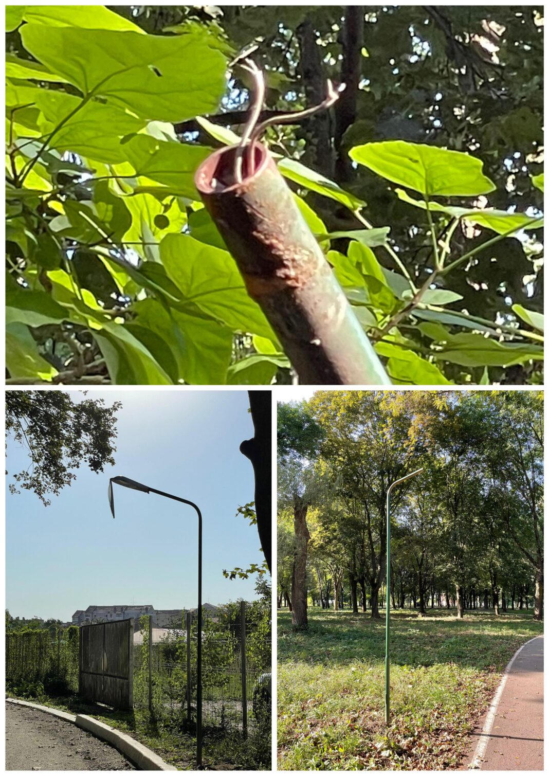 PSD CAMPIA TURZII: STOP VANDALISMULUI!