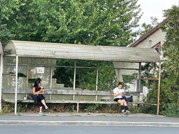 309258354_3283656071892558_3608521131479294852_n