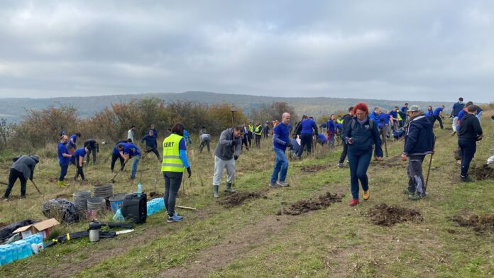 634bbd44c3cd0_micesti