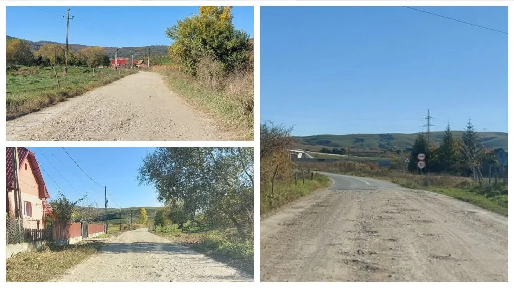 Domnule Mฤrginean, de ce vฤ bateศi joc de cetฤศenii satului Stejeriศ?